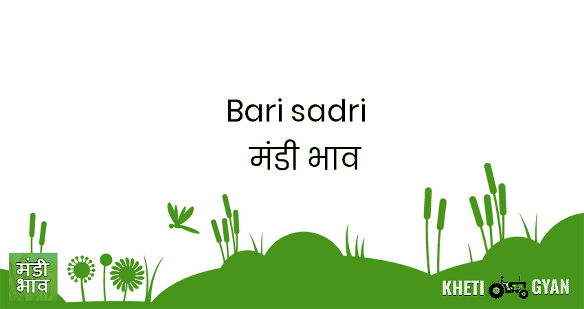 Bari Sadri मंडी भाव की ताज़ा तस्वीर